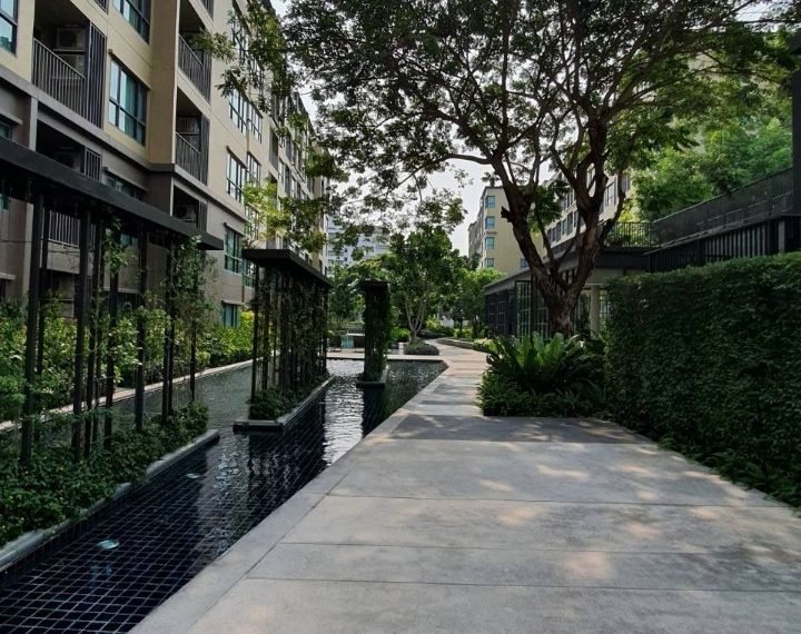 494027431_2127533291024077_8924906707638199988_n