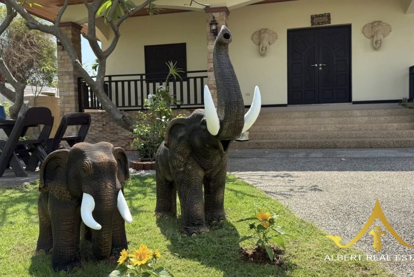 623210738_909072331503541_4220533816738409579_n